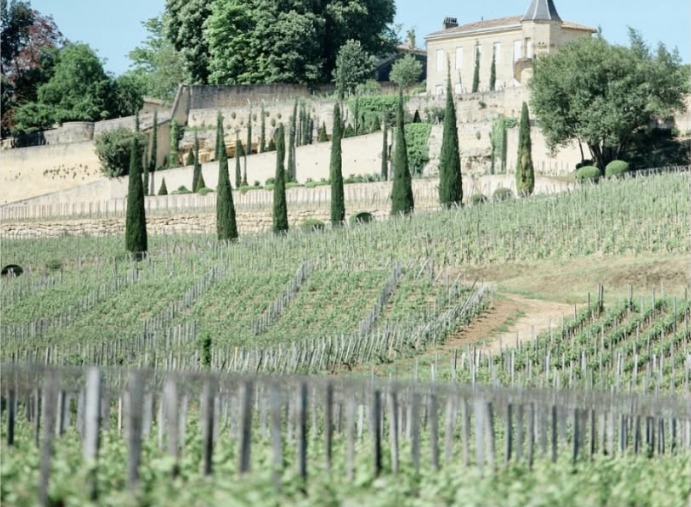 Vineyards and château near Saint-Émilion